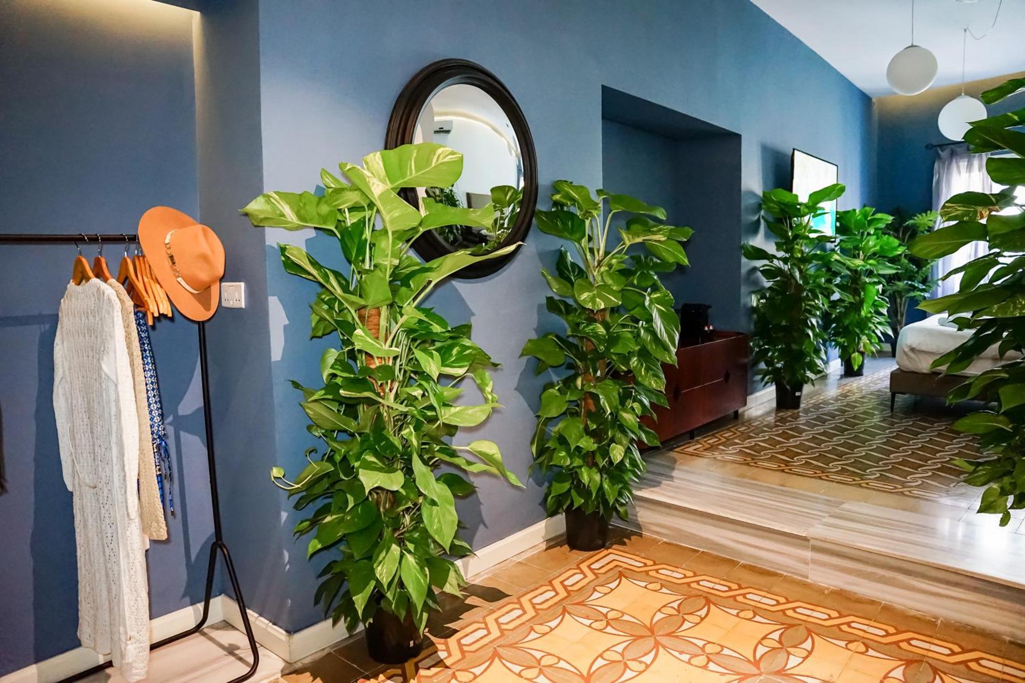 Valhalla Boutique Hotel La Valette Extérieur photo
